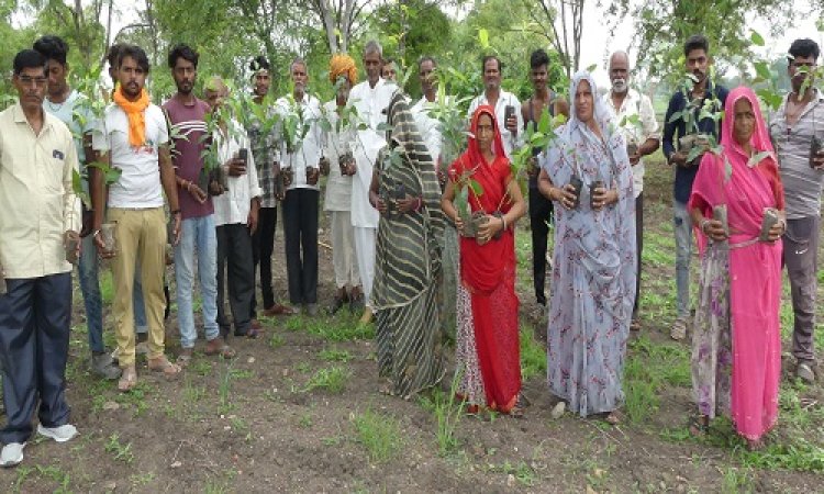 NEWS : एक पौधा मां के नाम अभियान, बंजर भूमि को ग्रामीणों ने किया हरा-भरा, अब ये लक्ष्य भी तय, कुछ यूं बैठाया 700 का आंकड़ा, पढ़े नरेंद्र राठौर की खबर