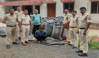 BIG NEWS : 1 करोड़ से ज्यादा का नशा, और स्मगलिंग के लिए निकला तस्कर, सूचना पर बघाना पुलिस की कार्यवाही, पिकअप से मादक पदार्थ जप्त, राजस्थान का आरोपी नारायण भी गिरफ्तार, पढ़े खबर