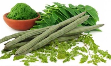 NEWS : पोषक तत्वों का पावर हाउस है ये इसके सेवन मात्र से होता है, कई रोगों का  रामबाण इलाज…