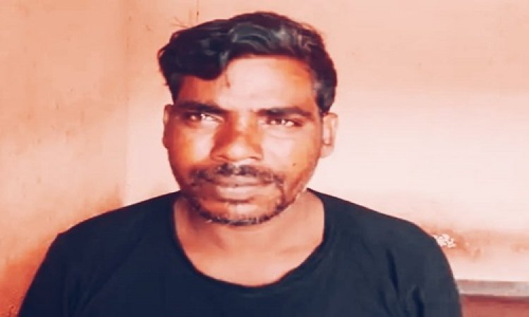 NEWS : बदमाशों ने चुराई ये बेशकीमती लकड़ी, फिर निम्बाहेड़ा पुलिस की कार्यवाही, एक आरोपी तो गिरफ्तार, अब इनकी तलाश, पढ़े खबर