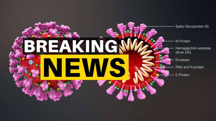 BIG BREAKING : कोरोना की आहट पर बड़ा अपडेट, इंदौर के डॉक्टर ने किया खुलासा, महिला पॉजिटिव, और कनेक्शन नीमच से भी, क्या संक्रमण से सुरक्षित है हमारा शहर, और चर्चाओं पर लगा विराम...! पढ़े ये खबर