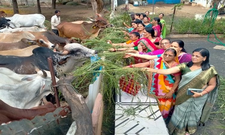NEWS : एक पौधा मां के नाम अभियान, महिलाओं ने रौपे नीम, पीपल और आम के पौधे, बछ बारस पर की गौवंश की पूजा, पढ़े खबर