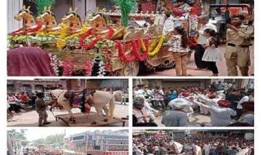 NEWS : श्री देवनारायण जयंती महोत्सव, रतनगढ़ में गुर्जर समाज ने निकाली भव्य शोभायात्रा, डीजे और ढोल की थाप पर झूमे समाजजन, जगह-जगह हुआ स्वागत, पढ़े संतोष गुर्जर की खबर