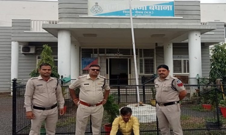 BIG NEWS : 28 क्विटंल लहसुन को किया खुर्दबुर्द, अब गबन करने वाला आरोपी गिरफ्तार, पिकअप वाहन भी जप्त, बघाना पुलिस की बड़ी कार्यवाही, पढ़े खबर