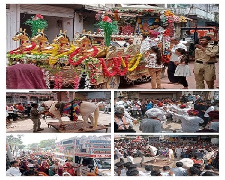 NEWS : श्री देवनारायण जयंती महोत्सव, रतनगढ़ में गुर्जर समाज ने निकाली भव्य शोभायात्रा, डीजे और ढोल की थाप पर झूमे समाजजन, जगह-जगह हुआ स्वागत, पढ़े संतोष गुर्जर की खबर