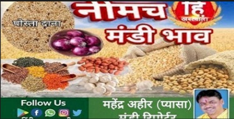 NEEMUCH MANDI : नीमच मंडी में सोयाबीन एवं गेहूं तेज, आज किस जींस के भाव में आई गिरावट, और किसके भाव रहें तेज, देखें महेन्द्र अहीर (प्यासा) की इस रिपोर्ट में