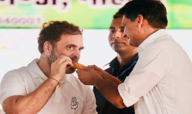 BIG NEWS : हरियाणा में BJP की जीत, राहुल गांधी के घर किसने पहुंचा दी जलेबी, ये नेता बोले- कांग्रेस को लगेगी कड़वी, इनकी प्रतिक्रिया अब तक नहीं...! पढ़े खबर