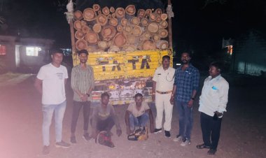 BIG NEWS : सिंगोली क्षेत्र में लकड़ी तस्कर सक्रीय,मुखबिर की जब मिली ये सुचना,तो वन अमला आया एक्शन में,फिर धराये दो आरोपी,पढ़े ये खबर