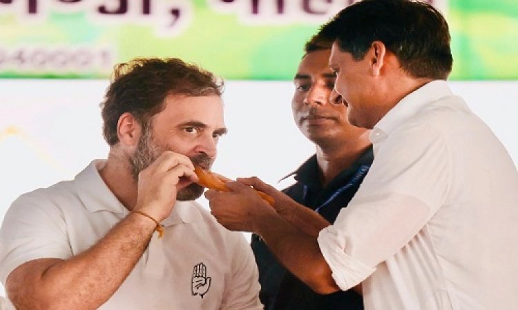 BIG NEWS : हरियाणा में BJP की जीत, राहुल गांधी के घर किसने पहुंचा दी जलेबी, ये नेता बोले- कांग्रेस को लगेगी कड़वी, इनकी प्रतिक्रिया अब तक नहीं...! पढ़े खबर