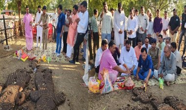 NEWS : गोवर्धन पूजा महोत्सव, मनासा की इस गौशाला पहुंचे विधायक मारु, विधि-विधान से किया पूजन-अर्चन, आम जनता से कहीं ये बात, पढ़े खबर
