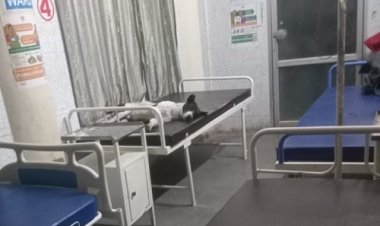 BIG NEWS : सरकारी अस्पताल में पलंग पर आराम फरमा रहें कुत्ते, ना डॉक्टर नजर आएं, ना ही मरीज, मामला जावद का, सोशल मीडिया पर वीडियों भी वायरल, पढ़े खबर और देखें VIDEO