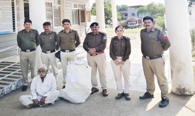 BIG NEWS : घर के बाड़े में नशे के पौधे, और अवैध गांजा भी बरामद, डोराई गांव में रतनगढ़ पुलिस की दबिश, फिर मिली बड़ी सफलता, आरोपी भी गिरफ्तार, पढ़े खबर