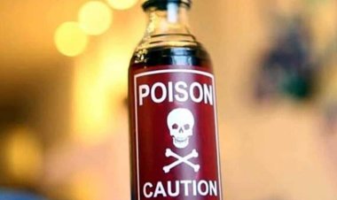 NEWS : युवक ने गटका जहरीला पदार्थ, नीमच के इस अस्पताल में उपचार के दौरान मौत, घटना मनासा थाना क्षेत्र की, पढ़े खबर