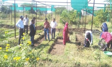 NEWS : जिला पंचायत सीईओ ने किया नर्सरी का निरीक्षण, इन्हें दिए आवश्यक दिशा-निर्देश, पढ़े खबर