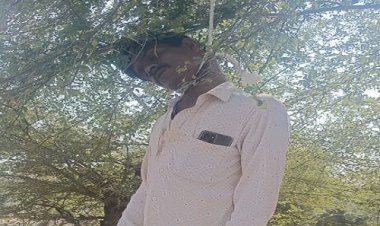 BIG BREAKING : गौशाला के पास पेड़ पर लटकी मिली लाश, क्षेत्र में मचा हड़कंप, फिर रतनगढ़ पुलिस पहुंची मौके पर, अब जांच शुरू, पढ़े खबर