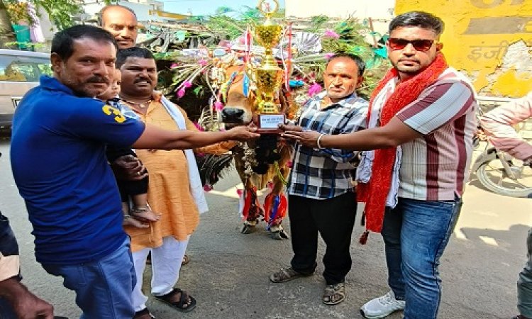 NEWS : फूल-मालाओं से सजाया, तो घुंघरुओं की छनछन भी, दुल्हन की तरह सजी गौ माताएं, इस बार दीपक की गाय ने मारी बाजी, नगद राशि के साथ मिला ये पुरस्कार, आखिर नीमच में कहां होती है अनूठी प्रतियोगिता, पढ़े खबर