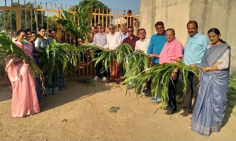 NEWS : गौशाला में जीव सेवा अभियान का शुभारंभ, गाय को खिलाएं घास और गुड़, निरंतर जारी रहेगी अमृत प्रवचन श्रृंखला, पढ़े खबर
