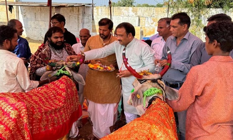 NEWS : गोपाष्टमी, श्री महावीर गौशाला में अन्नकूट का आयोजन, 15 क्विंटल गुड़ की लापसी और 5 क्विंटल कच्ची सब्जियों का कराया आहार, रजत आभूषण व मेहंदी लगाकर सजाया, पढ़े खबर