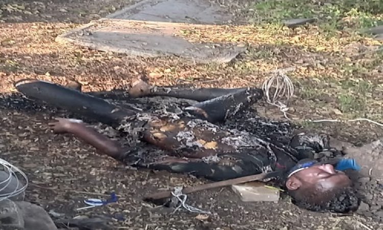 NEWS : बिजली के तार पकड़कर युवक की आत्महत्या, नारायणगढ़ पुलिस जुटी जांच में, पढ़े नरेंद्र राठौर की खबर