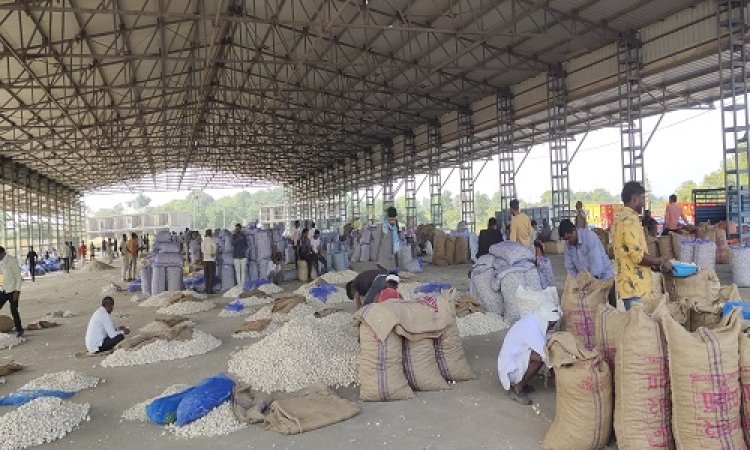 NEWS : उप कृषि उपज मंडी जीरन ने एमपी में मारी बाजी, इस भुगतान में प्रथम स्थान किया प्राप्त, दूर-दराज के किसान भी पहुंचने लगे यहां, पढ़े खबर