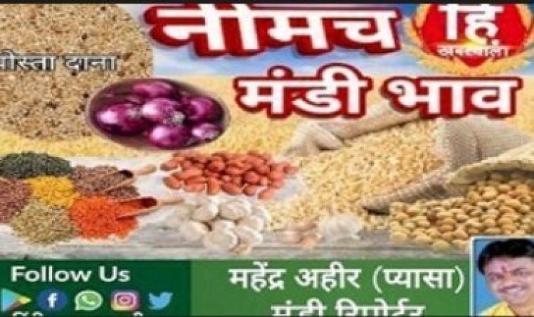 NEEMUCH MANDI : नीमच मंडी में सोयाबीन एवं अलसी तेज, धनियां एवं मक्का नरम, आज किस जींस के भाव में आई गिरावट, और किसके भाव रहें तेज, देखें महेन्द्र अहीर (प्यासा) की इस रिपोर्ट में