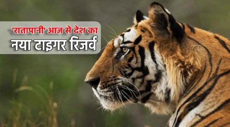 BIG NEWS : CM डॉक्टर मोहन यादव की एक और बड़ी सौगात, एमपी को मिल रहा एक नया टाइगर रिजर्व, मुख्यमंत्री इस दिन करेंगे लोकार्पण, पढ़े खबर