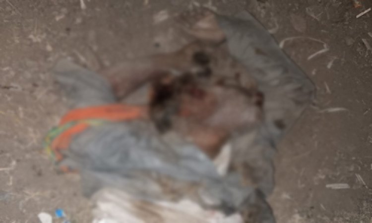 OMG ! रौंगटे खड़े कर देगी ये घटना, तेज रफ्तार कार ने रौंदा, जब नीचे फंसा नानूराम, तो घसीटते हुए ले गई इतनी दूर, ऐसी दर्दनाक मौत हुई, की देखने वालों की कांप गई रूह, पढ़े मनीष जोलान्या की खबर