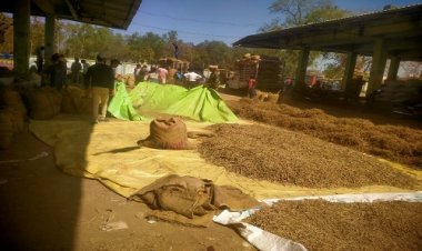 NEWS : नीमच मंडी में असगंध लेकर पहुंचा किसान, जब आई ये परेशानी, तो की शिकायत, फिर मौके पर पहुंचे कर्मचारी, अब अलर्ट हुए अधिकारी, पढ़े ये खबर