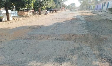 BIG NEWS : नीमच-सिंगोली मार्ग जगह-जगह से क्षतिग्रस्त, हादसों को न्योता देते गड्ढे, अंधेरे में होती है परेशानी, मांगो का नहीं हुआ असर, ये हालात धरातल से जुड़े, पढ़े खबर