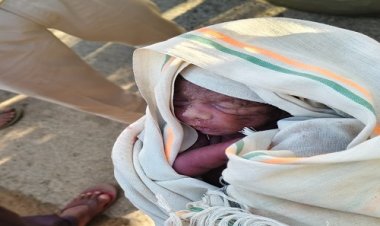 BIG NEWS : झाड़ियों में मिला नवजात, तो गांव में फैली सनसनी, फिर अफजलपुर थाना पुलिस पहुंची मौके पर, अब जांच शुरू, आखिर कौन है ये शिशु, मामला मंदसौर जिले का, पढ़े खबर