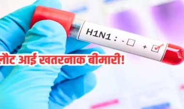 OMG ! एमपी में फिर से इस खतरनाक वायरस की दस्तक, मच गया हड़कंप, अलर्ट मोड पर स्वास्थ्य विभाग और मेडिकल टीम, आप भी हो जाएं सावधान...! पढ़े खबर