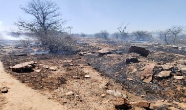 NEWS : पलासी गांव के जंगल में लगी भीषण आग, फायर बिग्रेट ने घंटों किया प्रयास, फिर पाया काबू, पढ़े खबर