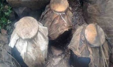 NEWS : आबकारी विभाग की तीन गांवों में दबिश, 350 किलो महुआ लहान सहित कच्ची मदिरा जप्त, प्रकरण दर्ज, और जांच भी शुरू, पढ़े खबर