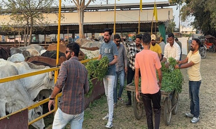 BIG NEWS : करणी सेना ने गौशाला में मनाया स्थापना दिवस, गौमाता को खिलाया गुड़ और हरा चारा, तो इन्होंने किया पदाधिकारियों का सम्मान, पढ़े खबर