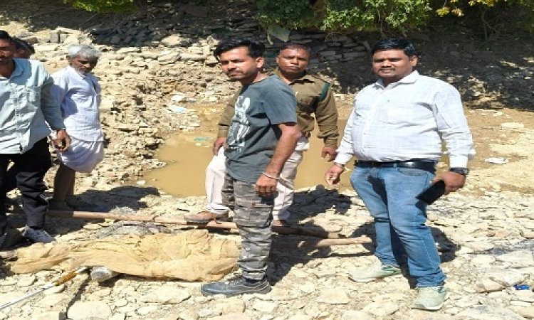 NEWS : रतनगढ़ के इस गांव में निकला विशालकाय मगरमच्छ, सुचना मिलते ही मौके पर पहुंची वन विभाग की टीम, रेस्क्यू कर पकड़ा, और यहां छोड़ा, पढ़े खबर
