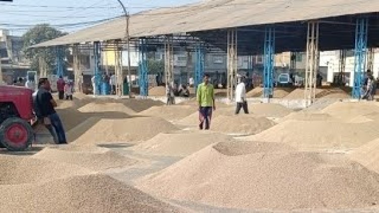 BIG NEWS : नीमच मंडी में त्यौहारों पर अवकाश घोषित, नहीं होगी उपज की नीलामी, जाने 19 से 31 मार्च के बीच की छुट्टियां, पढ़े खबर