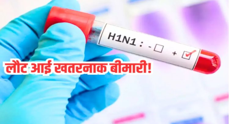 OMG ! एमपी में फिर से इस खतरनाक वायरस की दस्तक, मच गया हड़कंप, अलर्ट मोड पर स्वास्थ्य विभाग और मेडिकल टीम, आप भी हो जाएं सावधान...! पढ़े खबर