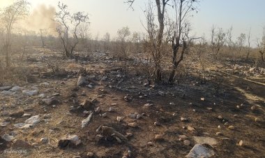 NEWS : मनासा क्षेत्र के इस गांव के जंगल में फिर लगी भीषण आग, मौके पर पहुंची तीन-तीन फायर फाइटर, फिर आगजनी पर पाया काबू, पढ़े खबर