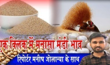 MANASA MANDI : मनासा मंडी में गेहूं और इसबगोल की बंपर आवक, आज किस जींस के भाव में आई गिरावट, और किसके भाव रहें तेज, देखें मनीष जोलान्या की इस रिपोर्ट में