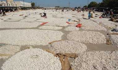 BIG NEWS : मनासा कृषि उपज मंडी में चार दिनों तक रहेगा अवकाश, नहीं होगी जिंसों की नीलामी, पढ़े खबर और जाने तारीख