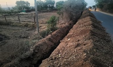 NEWS : निजी सिम कंपनी ने साधा अपना स्वार्थ, हरे-भरे वृक्षों को कर रही जमींदोज, अब क्षेत्र की जनता में पनपा आक्रोश, जिला प्रशासन से ध्यान देने की मांग, पढ़े खबर