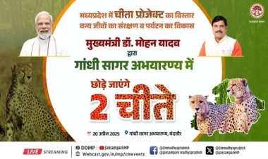 BIG NEWS : गांधी सागर अभ्यारण होगा चीतों का नया ठिकाना, सीएम इस प्रोजेक्ट का करेंगे शुभारंभ, मुख्यमंत्री डॉ. मोहन यादव का आज नीमच जिले में दौरा, जाने हर कार्यक्रम की पूरी रूपरेखा, पढ़े खबर