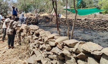 BIG NEWS : बाड़े में पड़े चारे और जंगल क्षेत्र में लगी आज, मशक्कत के बाद पाया काबू, ये घटना मनासा थाना क्षेत्र की, पढ़े खबर