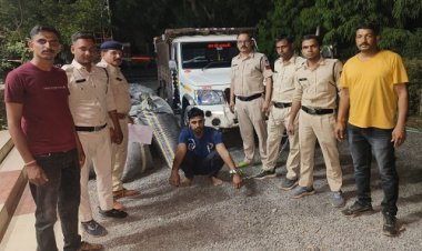 BIG NEWS : मुखबीर की सूचना पर जीरन पुलिस की बड़ी कार्यवाही, पिकअप से डोडाचूरा बरामद, पायलेटिंग करती कार भी जप्त, एक आरोपी तो गिरफ्तार, अब हरवार के राहुल और सत्यनारायण की तलाश, पढ़े खबर