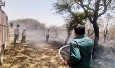 NEWS : कुकड़ेश्वर के पास किसानों के खेत में लगी भीषण आग, दमकल की मदद से पाया काबू, झाड़ियां सहित ये सभी जलकर खाक, पढ़े खबर