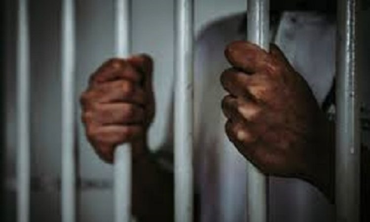 BIG NEWS : बंटवारे का विवाद, और तोड़ दिया मां का हाथ, अब बेटा पहुंचा सलाखों के पीछे, न्यायालय ने सुनाई ये सजा, घटना मनासा क्षेत्र की, पढ़े खबर