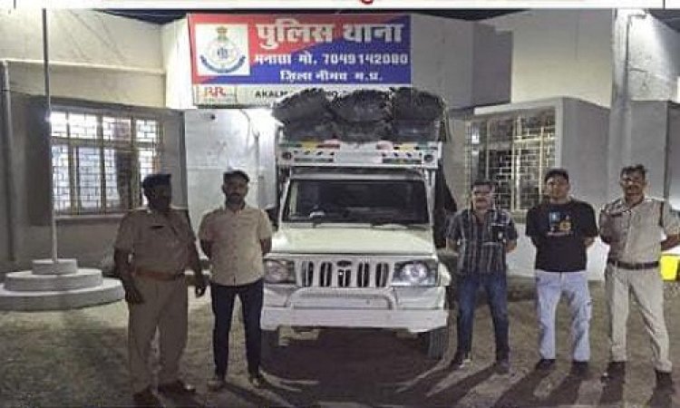 BIG NEWS : मनासा पुलिस की गश्त, और लावारिस खड़ी मिली पिकअप, तलाशी में अवैध नशा बरामद, मादक पदार्थ की बड़ी खेप जप्त, अब जांच शुरू, पढ़े खबर