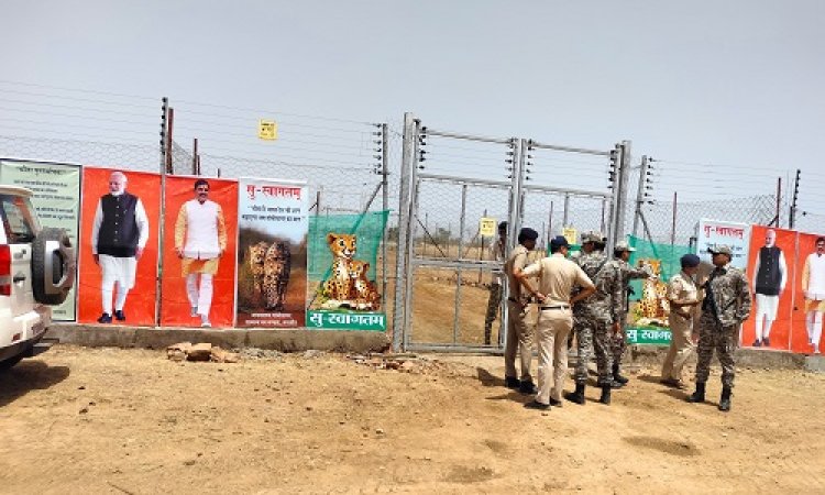 BIG NEWS : गांधी सागर अभ्यारण में छोड़ेंगे प्रभात और पावक, वन विभाग ने तैयारियां की पूरी, CM डॉक्टर मोहन यादव करेंगे शुभारंभ, पढ़े खबर