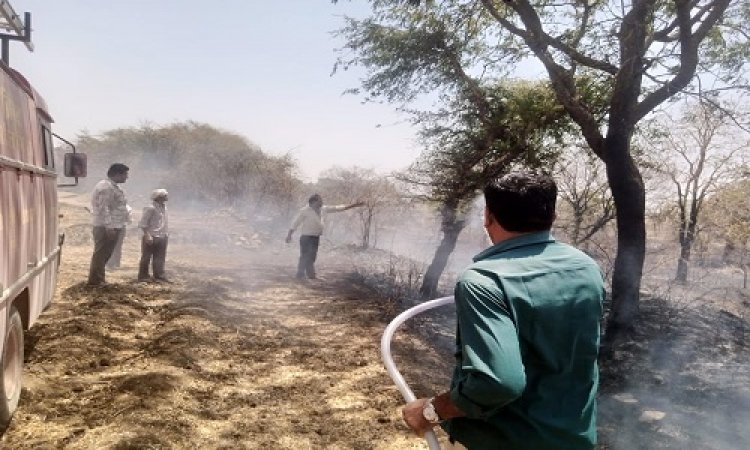 NEWS : कुकड़ेश्वर के पास किसानों के खेत में लगी भीषण आग, दमकल की मदद से पाया काबू, झाड़ियां सहित ये सभी जलकर खाक, पढ़े खबर