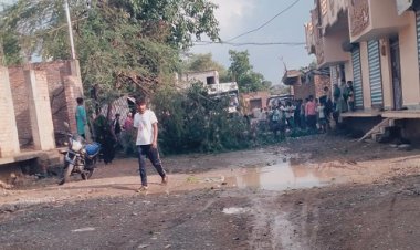 NEWS : मनासा में बदला मौसम का मिजाज, तेज हवा और गरज के साथ कई जगहों पर हुई बारिश, विशालकाय पेड़ गिरे, पढ़े खबर